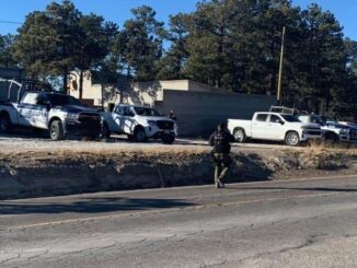 Aseguran madera y guías en aserraderos de San Juanito en operativos contra la tala ilegal