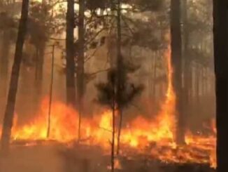 Se registran dos incendios forestales activos en Guachochi y Balleza