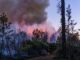 Combaten 262 brigadistas los 13 incendios forestales activos en 9 municipios