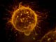 Un estudio en Hong Kong muestra resultados «prometedores» contra tres tipos de cáncer